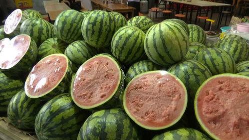 自由吃瓜有什么好处,释放压力，享受生活的乐趣