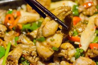 打蛙吃瓜,打蛙吃瓜，畅享清凉时光