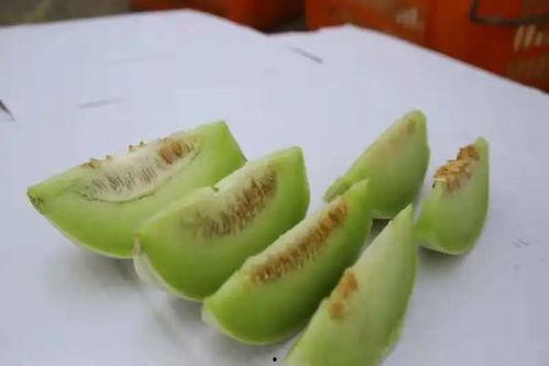 天选吃瓜选手,揭秘娱乐圈幕后风云