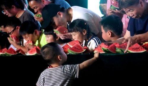 散步吃瓜的群众,揭秘生活百态