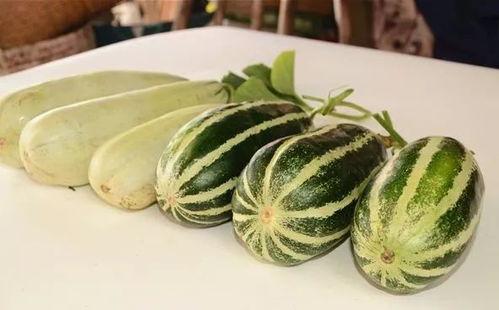 云南怒江网红吃瓜,揭秘当地特色美食背后的故事