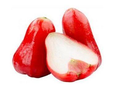 莲雾视频吃瓜网,揭秘热门话题背后的真相与笑料