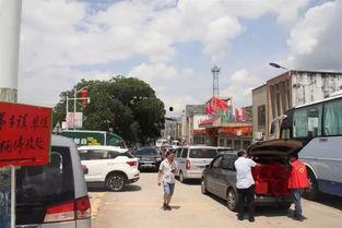 东源吃瓜,揭秘当地特色美食背后的故事