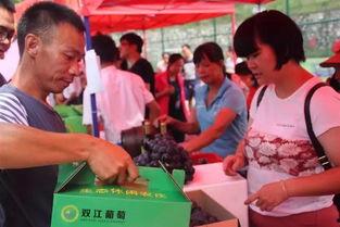 东源吃瓜,揭秘当地特色美食背后的故事