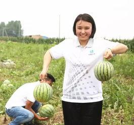 吃瓜组图片,一场视觉盛宴背后的故事