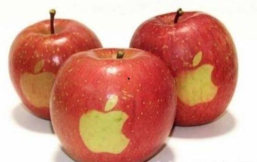 大瓜头吃苹果视频,趣味横生的欢乐时光