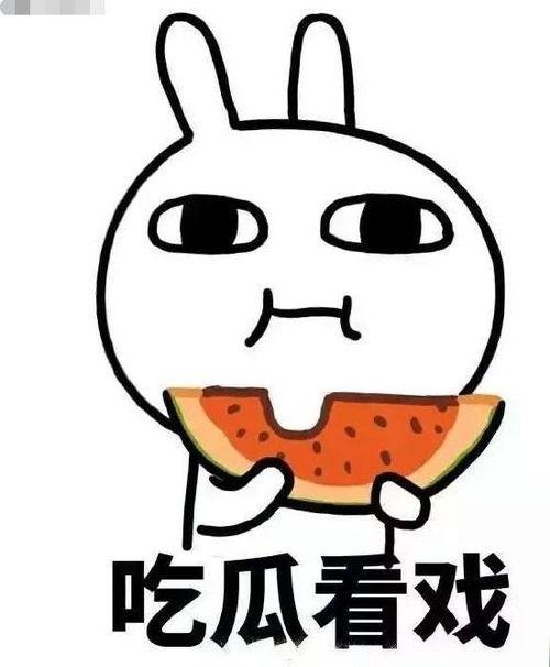 回门吃瓜,揭秘娱乐圈背后的故事与真相