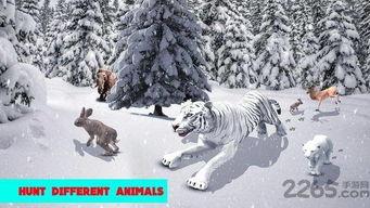 北极虎吃瓜,北极虎的瓜田奇遇记