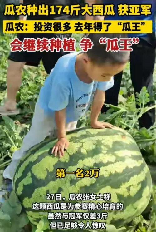 大西瓜吃瓜比赛,大西瓜吃瓜比赛的激情瞬间