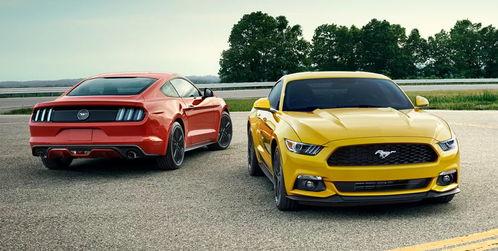 野马吃瓜视频大全,揭秘动物界的趣味瞬间