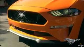 野马吃瓜视频大全,揭秘动物界的趣味瞬间