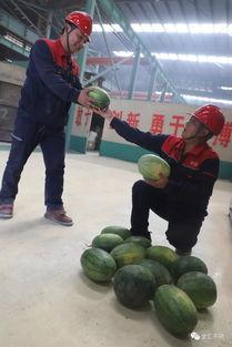 吃瓜群众长葛,吃瓜群众眼中的风云变幻