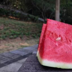 夏天吃小白瓜吃不吃籽,小白瓜去籽与留籽的口感大比拼