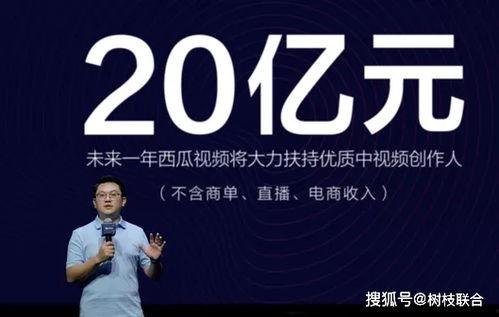 吃瓜老板科普视频,一场关于瓜果知识的科普盛宴