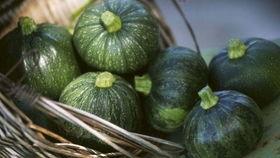 云南小圆瓜怎么吃,云南小圆瓜的多彩食法探索