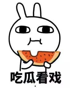 秃崽吃瓜男友,揭秘娱乐圈的甜蜜与辛酸