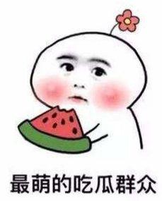 秃崽吃瓜男友,揭秘娱乐圈的甜蜜与辛酸