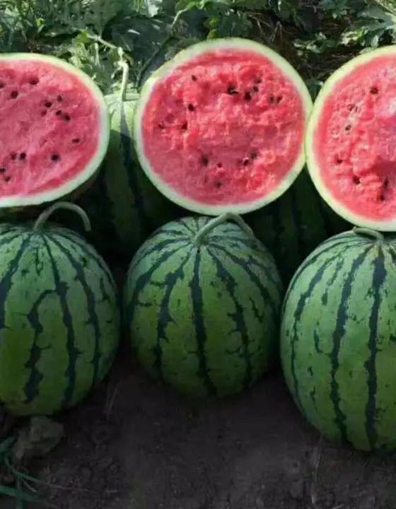 吃瓜30年,见证娱乐圈风云变幻