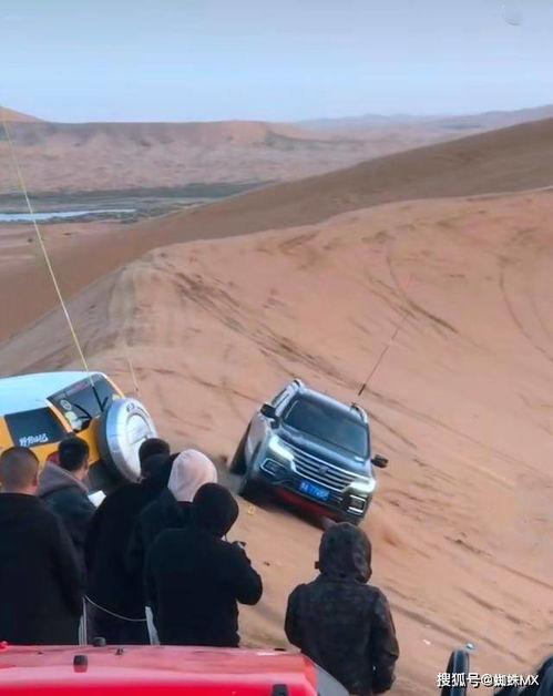 吃瓜猛禽,揭秘神秘生物的饮食习惯与生存智慧