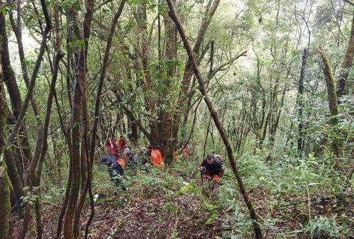 哀牢山吃瓜,探寻云南特色美食之旅