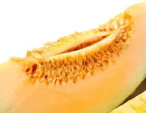 楼兰瓜怎么吃,解锁美味新体验