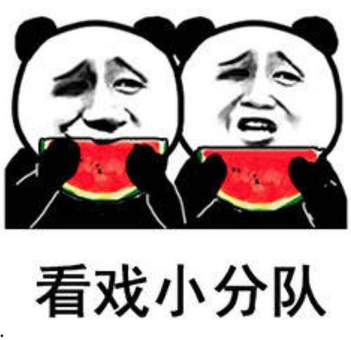 程子皮吃瓜表情包,笑料横生的网络潮流