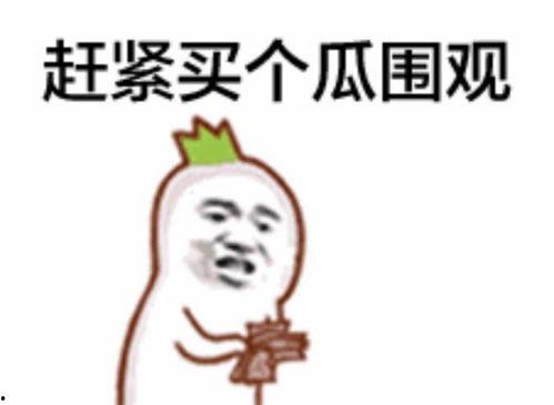程子皮吃瓜表情包,笑料横生的网络潮流
