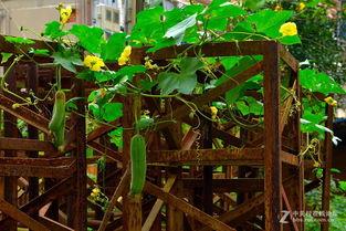 美院吃瓜墙,校园八卦背后的艺术圈风云