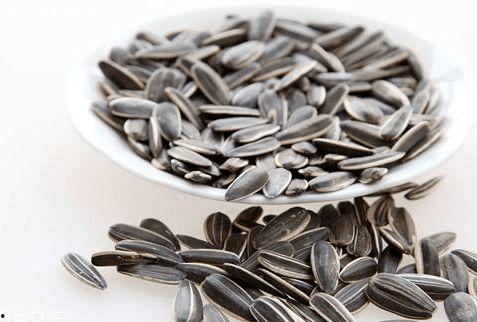 吃瓜吃瓜子广告,瓜子飘香——尽享吃瓜吃瓜子广告带来的味蕾盛宴