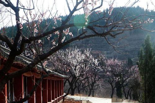 莱芜吃瓜羊丘山,探寻吃瓜者的山间秘境
