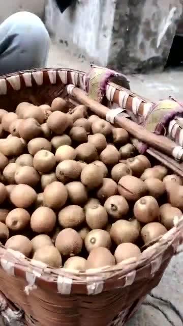 带你吃瓜野生全集,野生全集深度解析，揭秘娱乐圈幕后真相