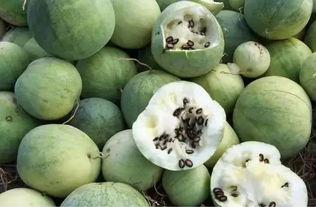 大悟吃瓜聚集地