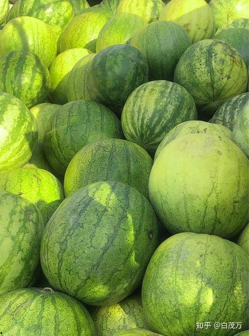 咳嗽吃籽瓜,籽瓜籽的神奇功效与食用方法