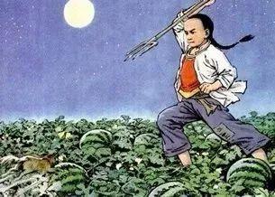 田地里吃瓜的猹