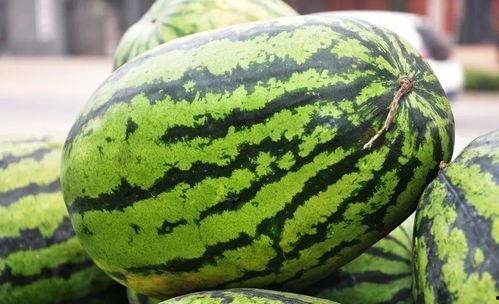 吃瓜对家庭的影响,揭秘其对家庭关系的微妙影响