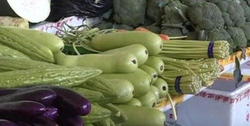 吃瓜对家庭的影响,揭秘其对家庭关系的微妙影响