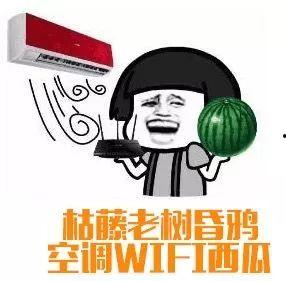 吃瓜群众你这瓜不保保熟