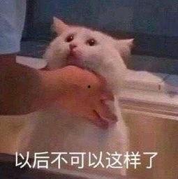 朝阳在逃吃瓜群众,揭秘吃瓜群众的神秘面纱