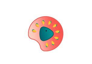 吃瓜小明,吃瓜小明的趣味生活点滴