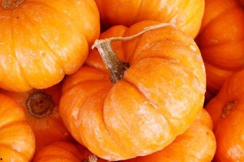 吃瓜人南瓜仁,揭秘瓜界新宠的甜蜜诱惑