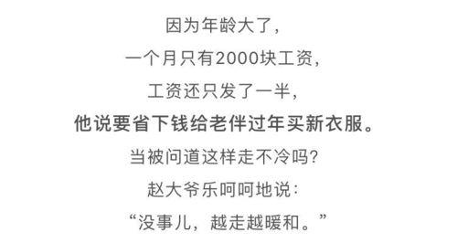 吃瓜碎了的词语,揭秘娱乐圈的真相与八卦