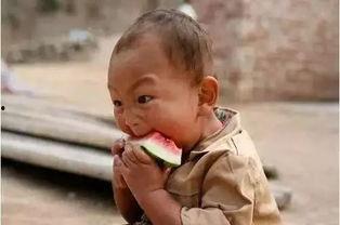 宝宝们吃瓜了视频,萌态十足引网友热议