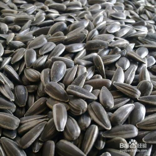 吃瓜子过敏吃瓜,吃瓜也能引发过敏反应