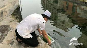 吃瓜中心听泉,揭秘娱乐圈幕后故事