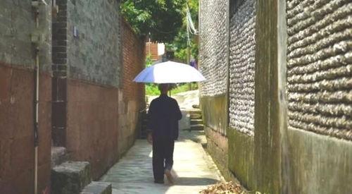 蓉城花园小区吃瓜事件,邻里纠纷引发社区热议