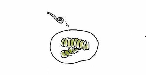 简笔画夏天吃瓜,简笔画中的清凉一夏