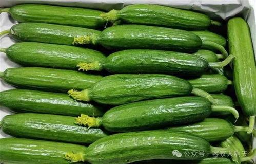 立夏吃瓜图片,瓜果飘香，共品夏日清凉