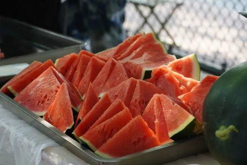 带你吃瓜拍照技术