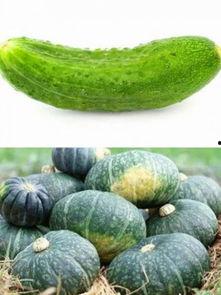 立秋应该摸瓜还是吃瓜,摸瓜还是吃瓜，揭秘秋日养生之道