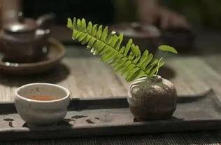 喝茶吃瓜打牌,休闲时光乐无边